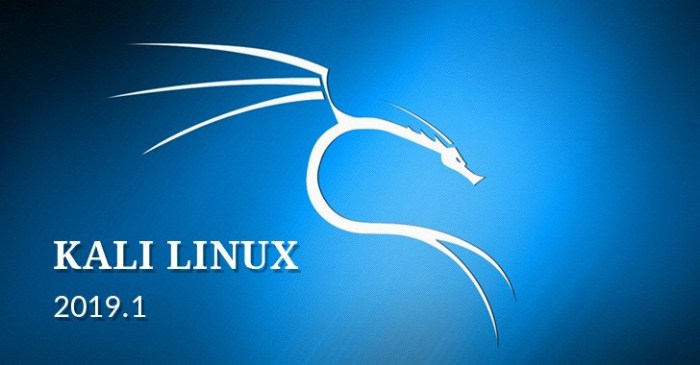 Offensive Security vừa chính thức phát hành phiên bản Kali Linux 2019.1 